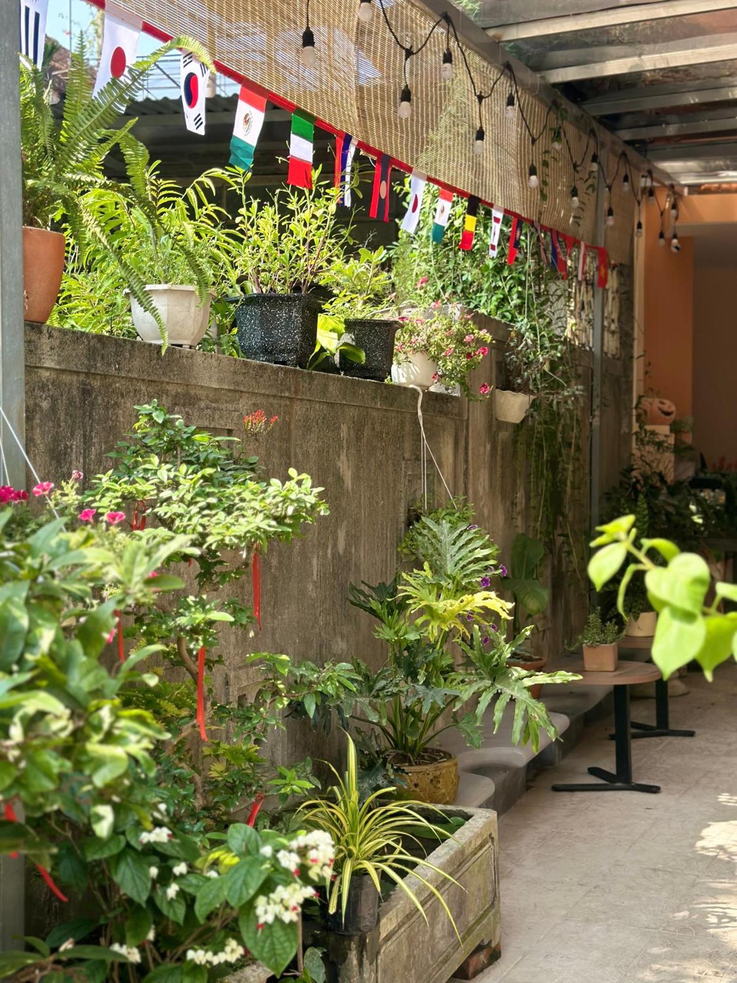 Chi'S Homestay & Coffee Hué Eksteriør billede